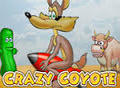 Crazy Coyote